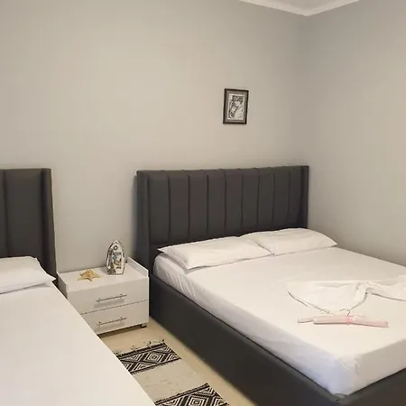 Zeko * Golem (Tirana)