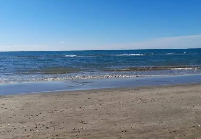 Apartamento Zeko Golem (Tirana)